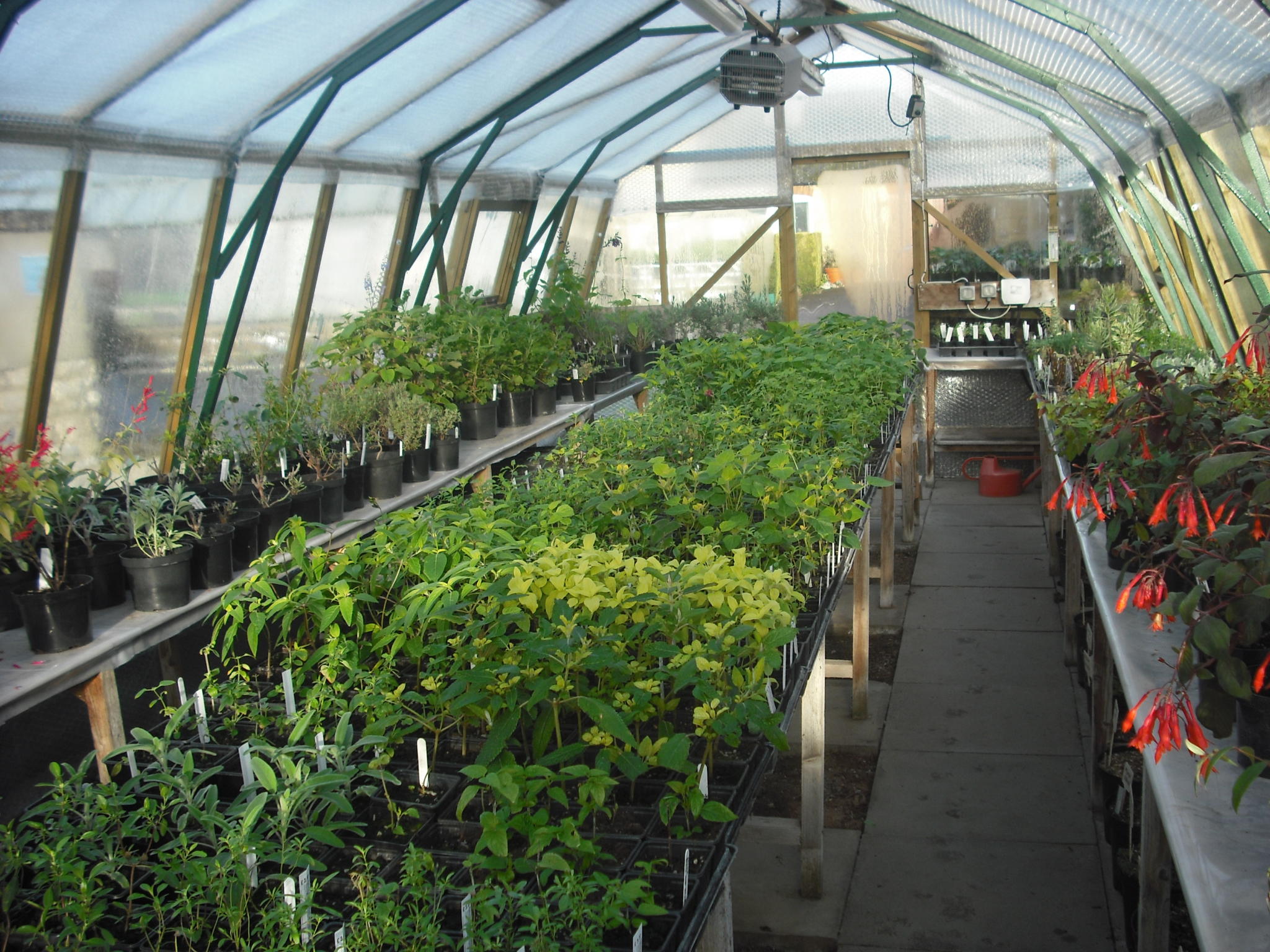 The Herb Nursery Discover Rutland