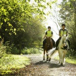 horse riding at fineshade woods