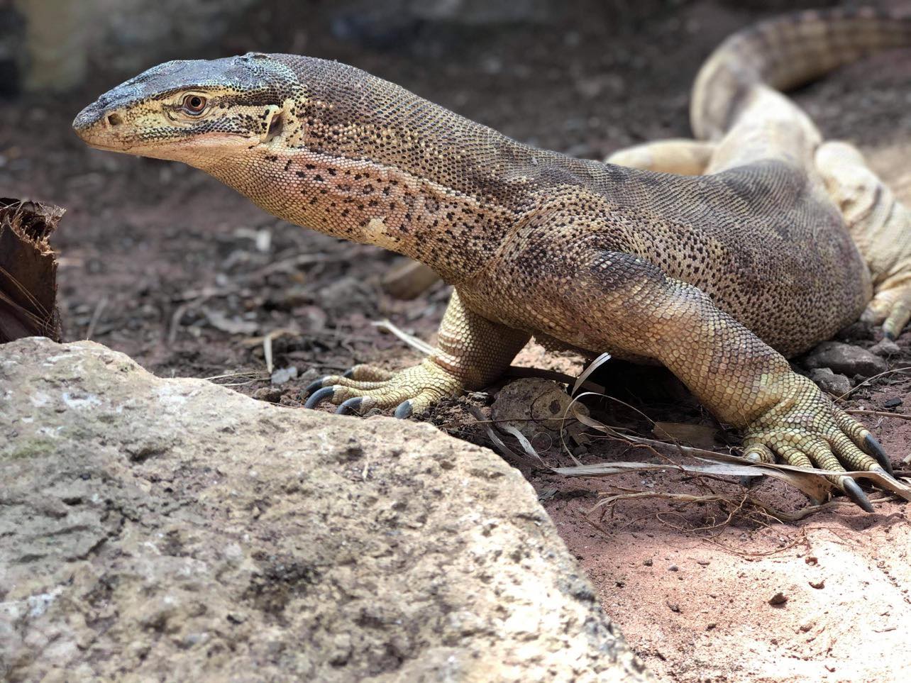 Family Fun this February! [2022] Discover Rutland