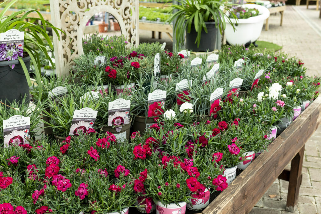 Rutland Garden Centre, Village Store & Café Discover Rutland