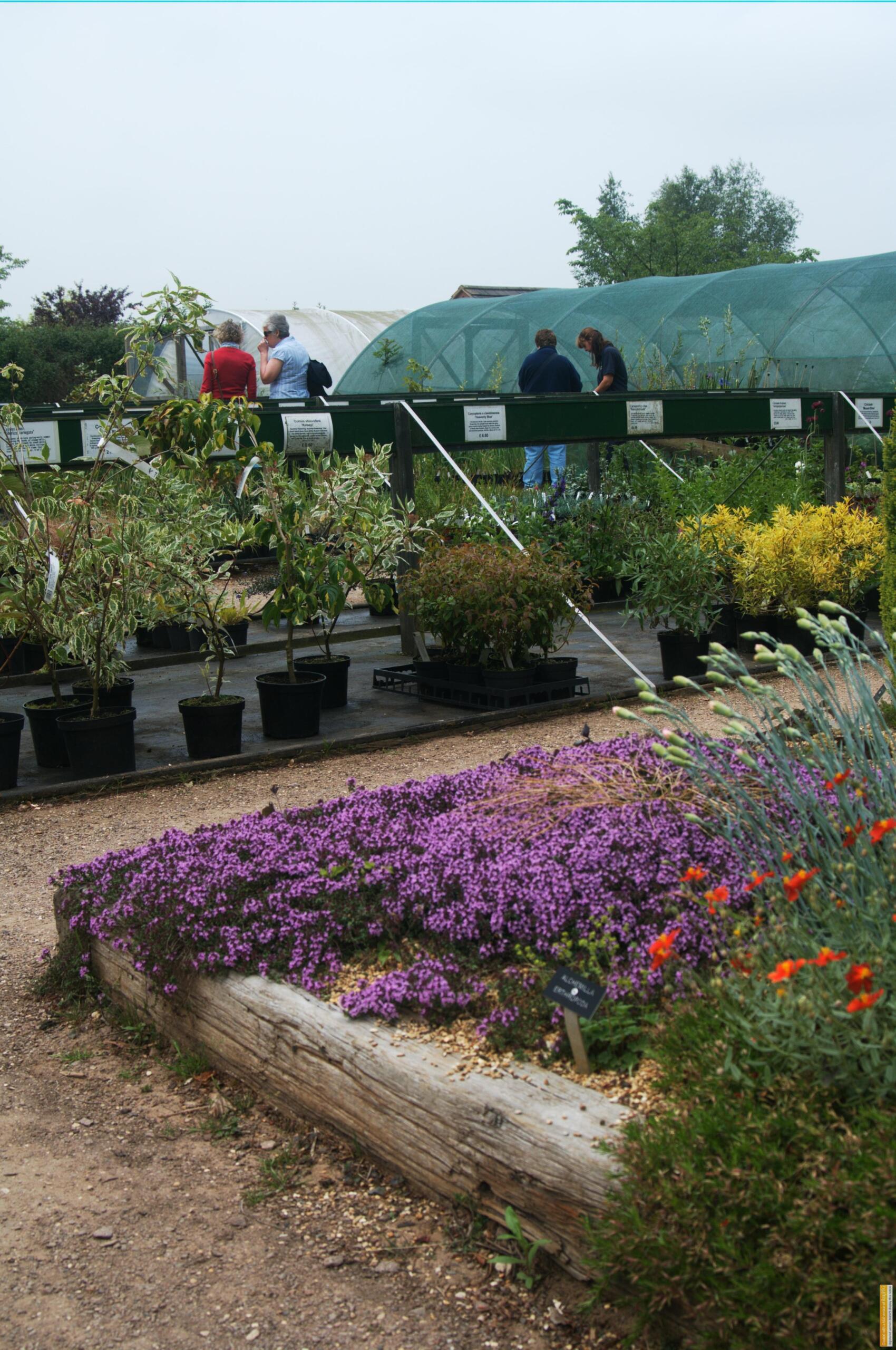 The best garden nurseries in Rutland Discover Rutland