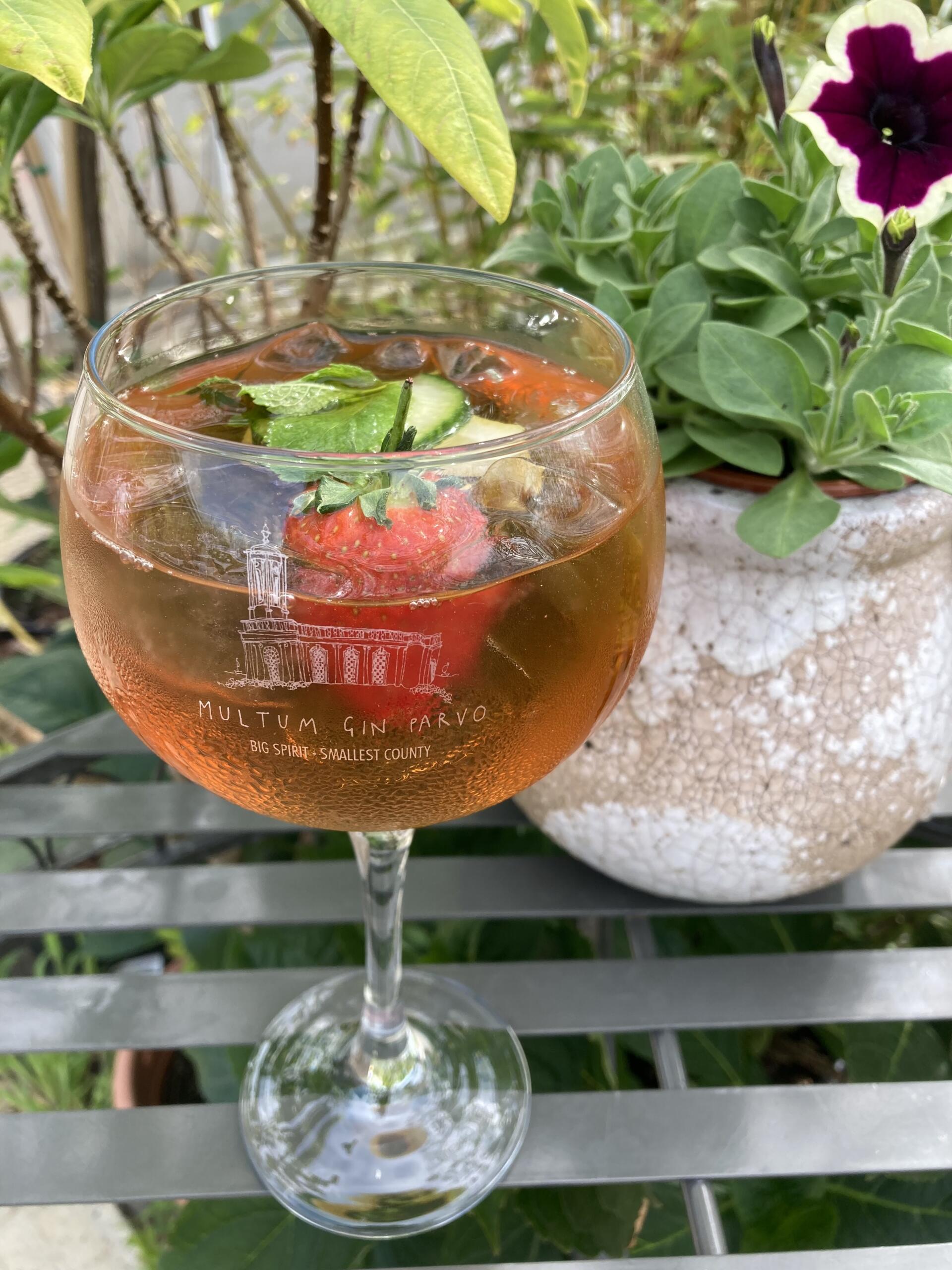 Celebrating World Gin Day with Multum Gin Parvo Discover Rutland